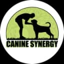 Arjun's business logo