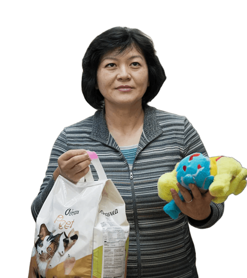 Pet groomer working with a dog