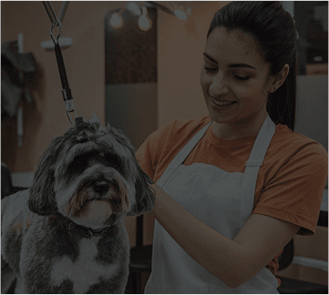 Pet grooming professional working with a dog