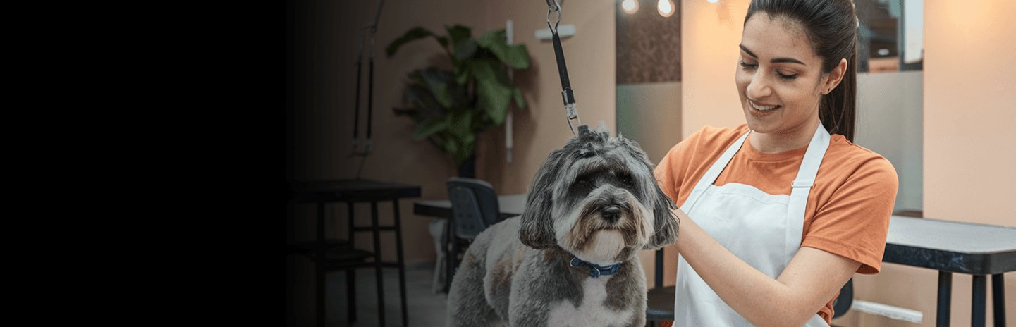Pet grooming professional working with a dog