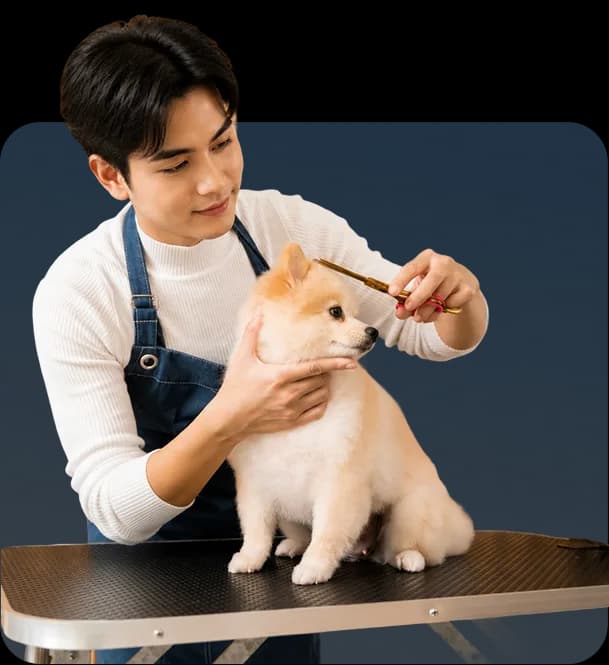 Salon Grooming