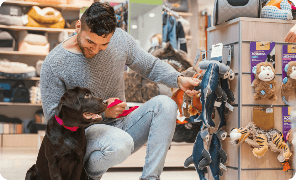 Pet Grooming Banner