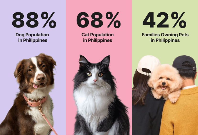 A Booming Pet Market in Philippines