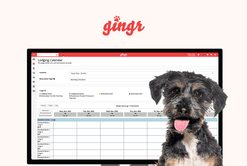 Gingr
