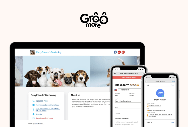 Groo More