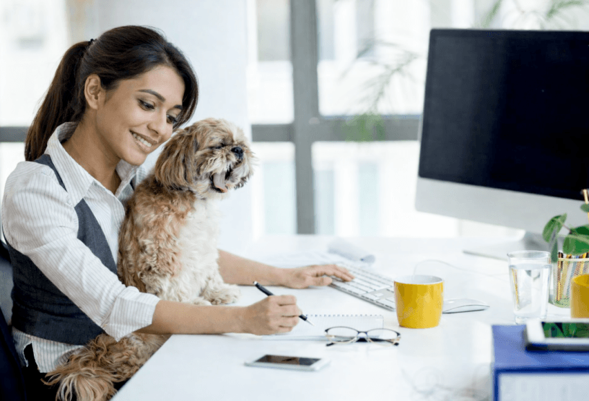 Appointment Booking Software for Pet Business