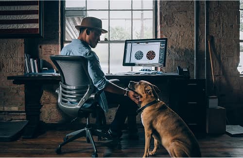 A person in a hat works at a computer, petting a dog.