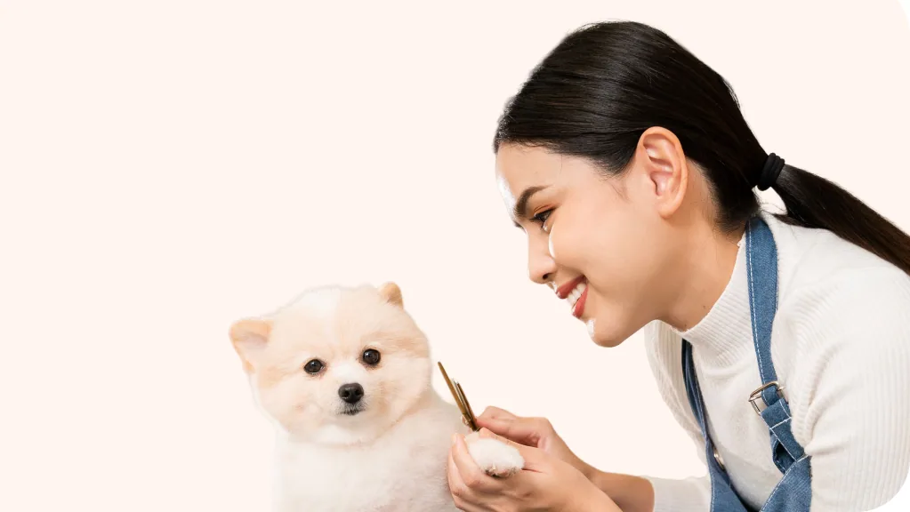 Pet groomer trimming a fluffy dog