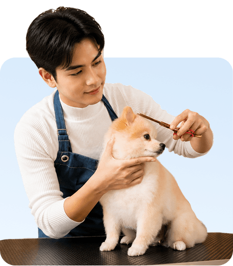 Salon Grooming