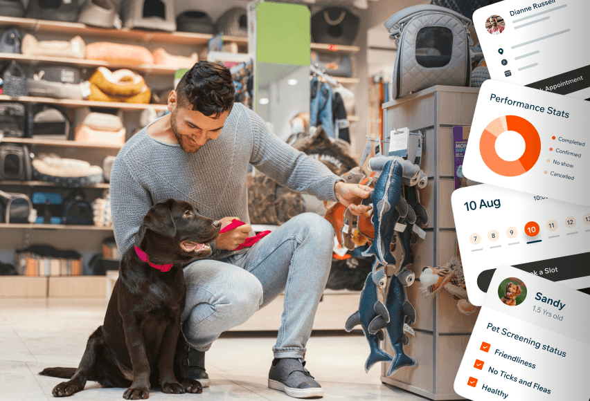 Pet Businesses in the Philippines: Challenges That Software Can Solve