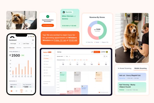 Manage Your Business with Smart Business Softwares