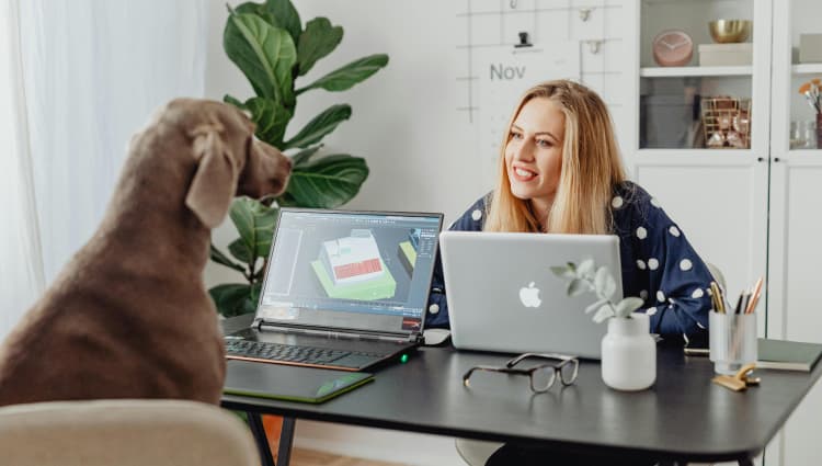 A dog sitting in a cair in front of a laptop with their human and having a business meeting