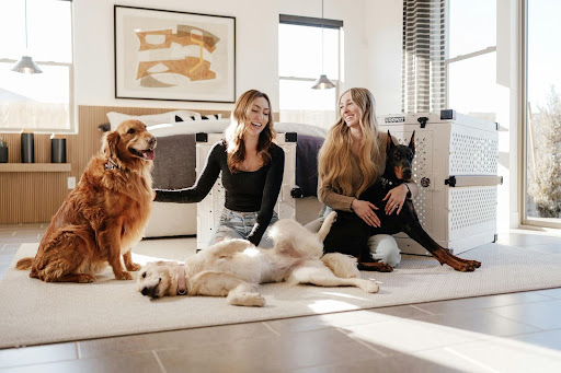Pet_Parents_Relaxing_With_Their_Dogs_Article_1_Image_4.jpg