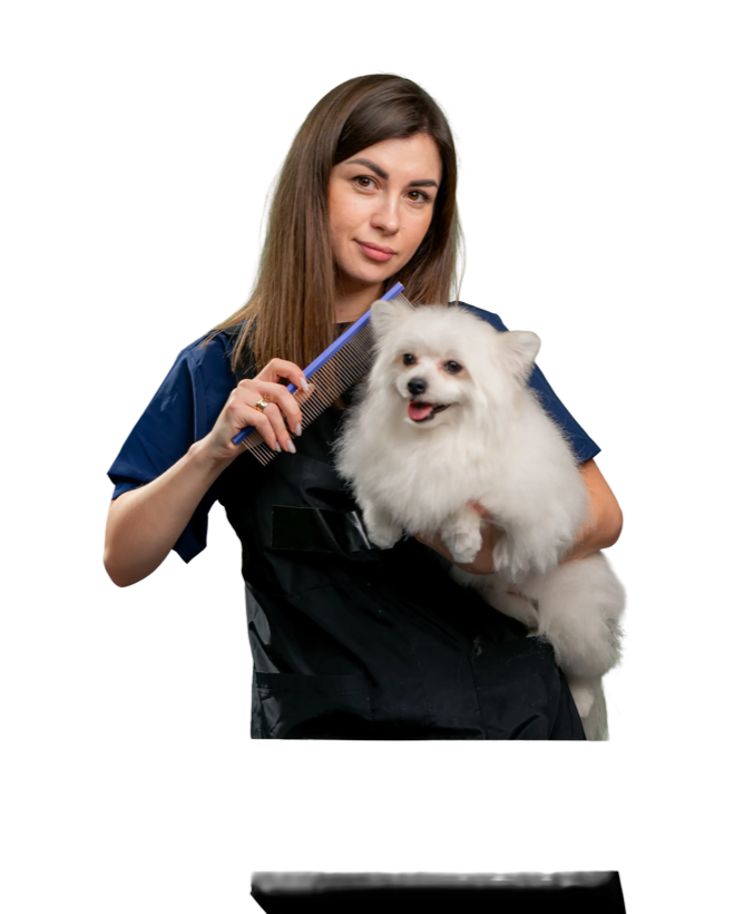 In-house grooming