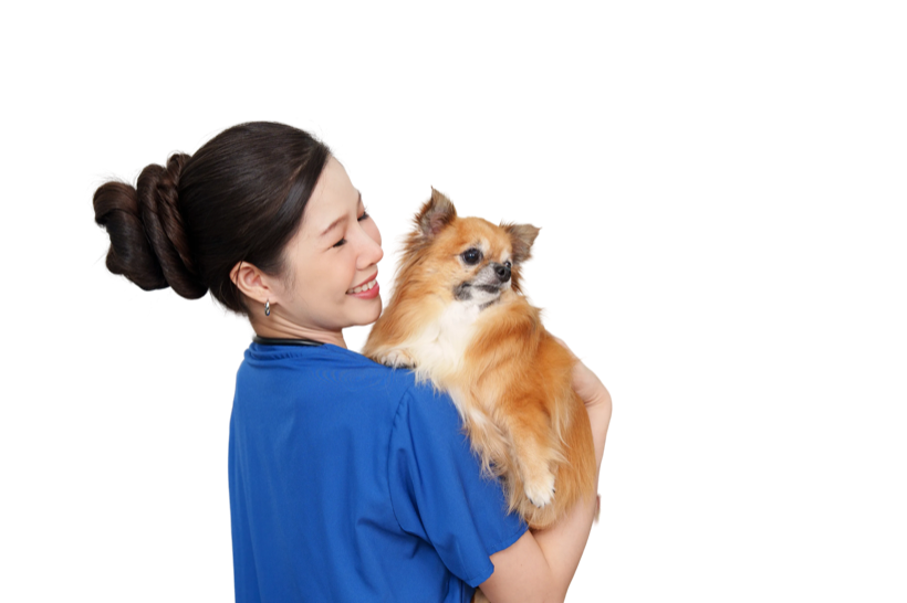 Vet Clinic